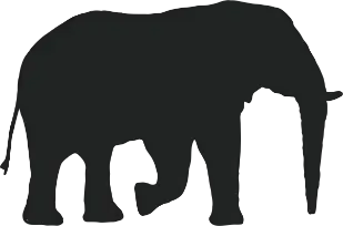 Nambiti Private Game Reserve elephant icon