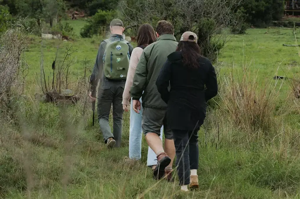 Guided walking safari at Nambiti